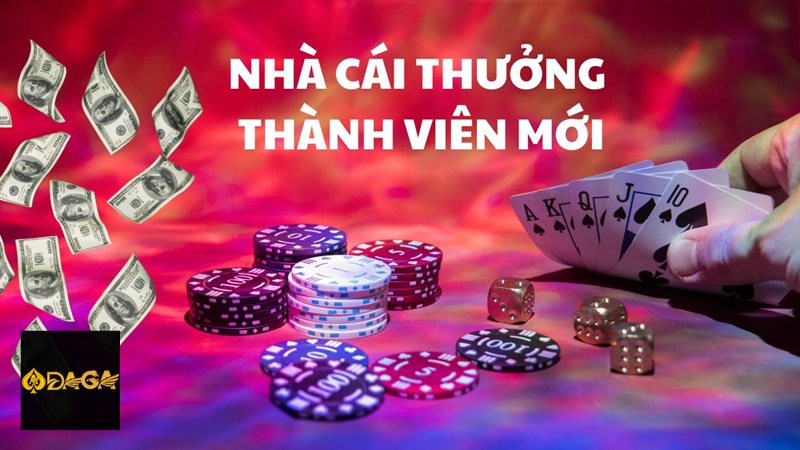 Khuyến Mãi daga - Hỗ trợ thành viên mới làm quen nền tảng